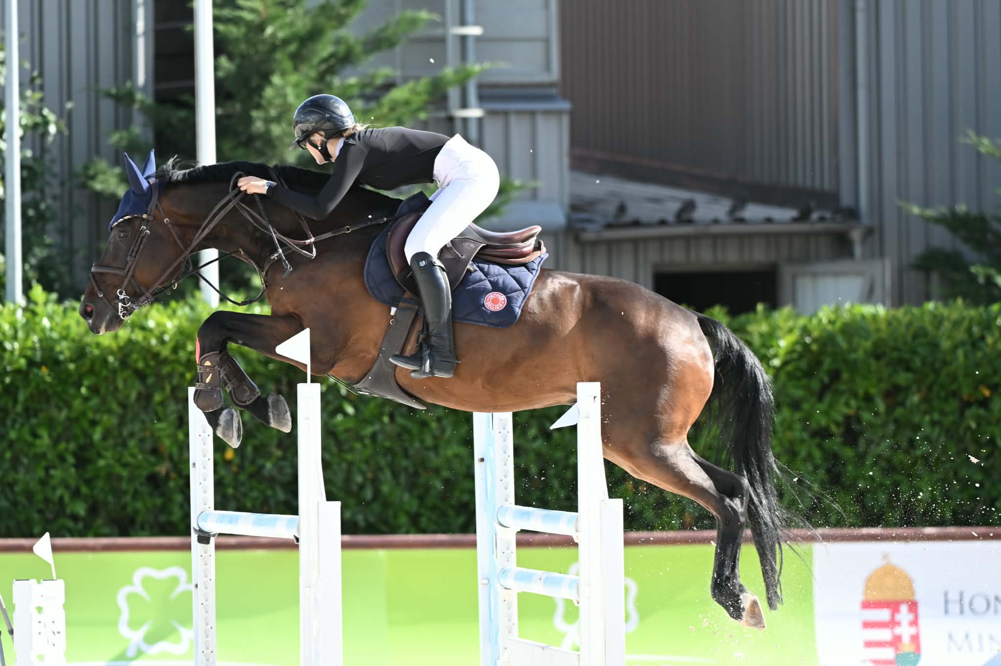 Nemztei Lovarda OM 2 kiemelt dijugrató verseny 120 cm, Junek Lilla 2026.05.10