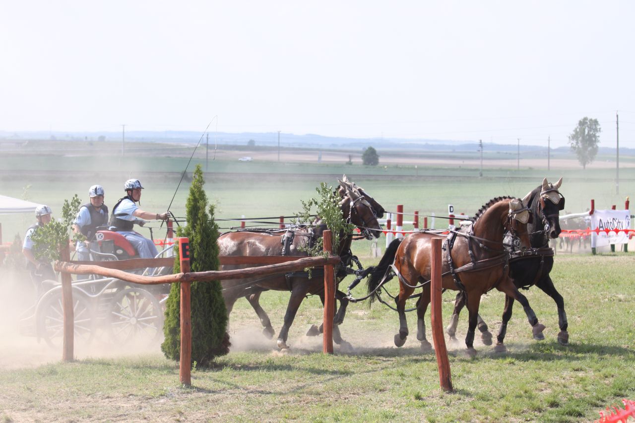 Móró Lajos - CAN-A Tolna-Mözs 2012