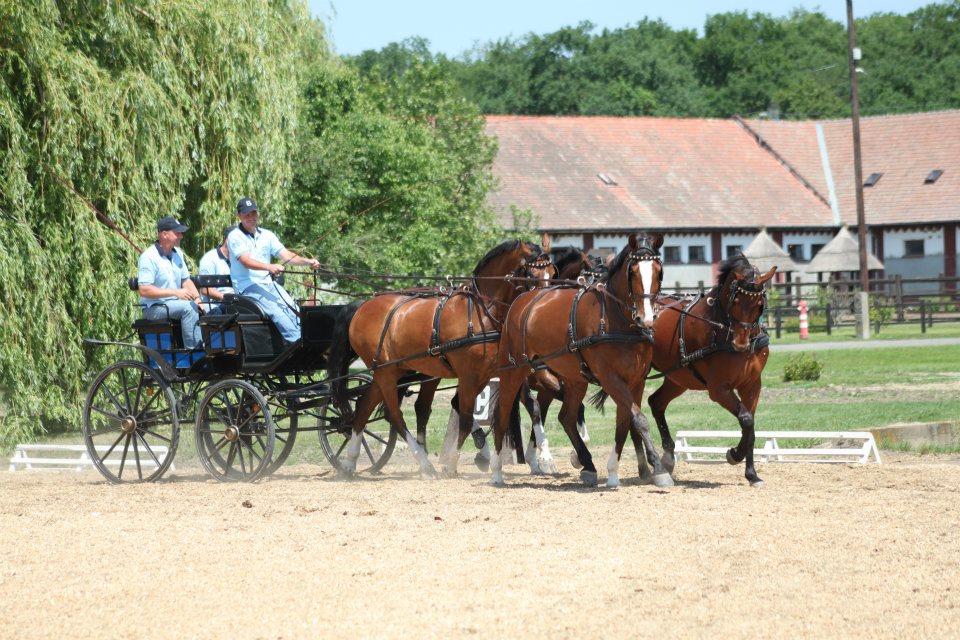 Exell Boyd kurzus - Hortobágy 2012