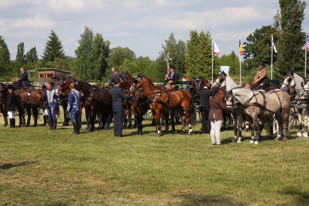 Móró Lajos - CAI-A Nebanice (CZE) 2013