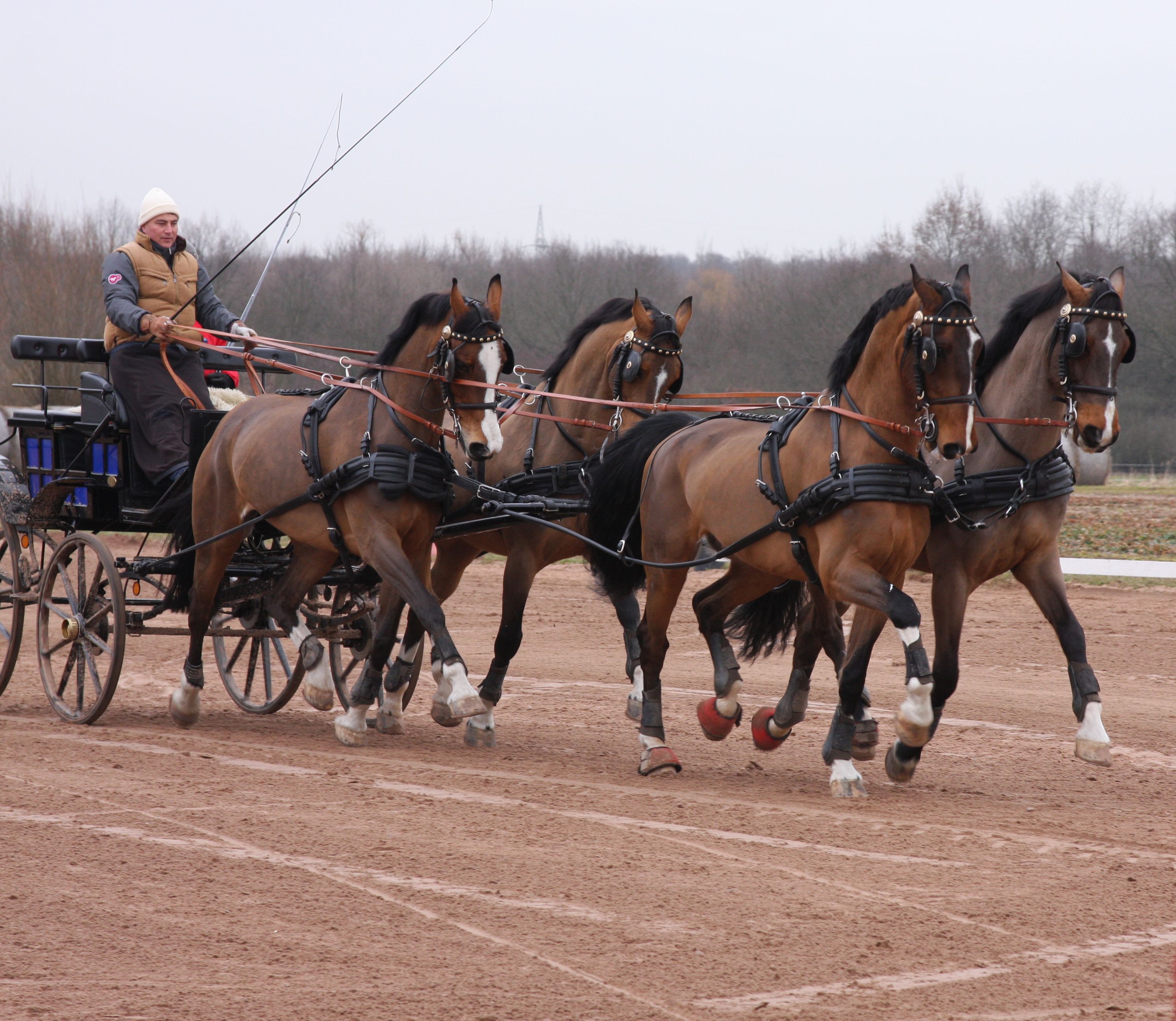Móró Lajos 2015 edzőtábor, Dreieich (GER) - Michael Freund