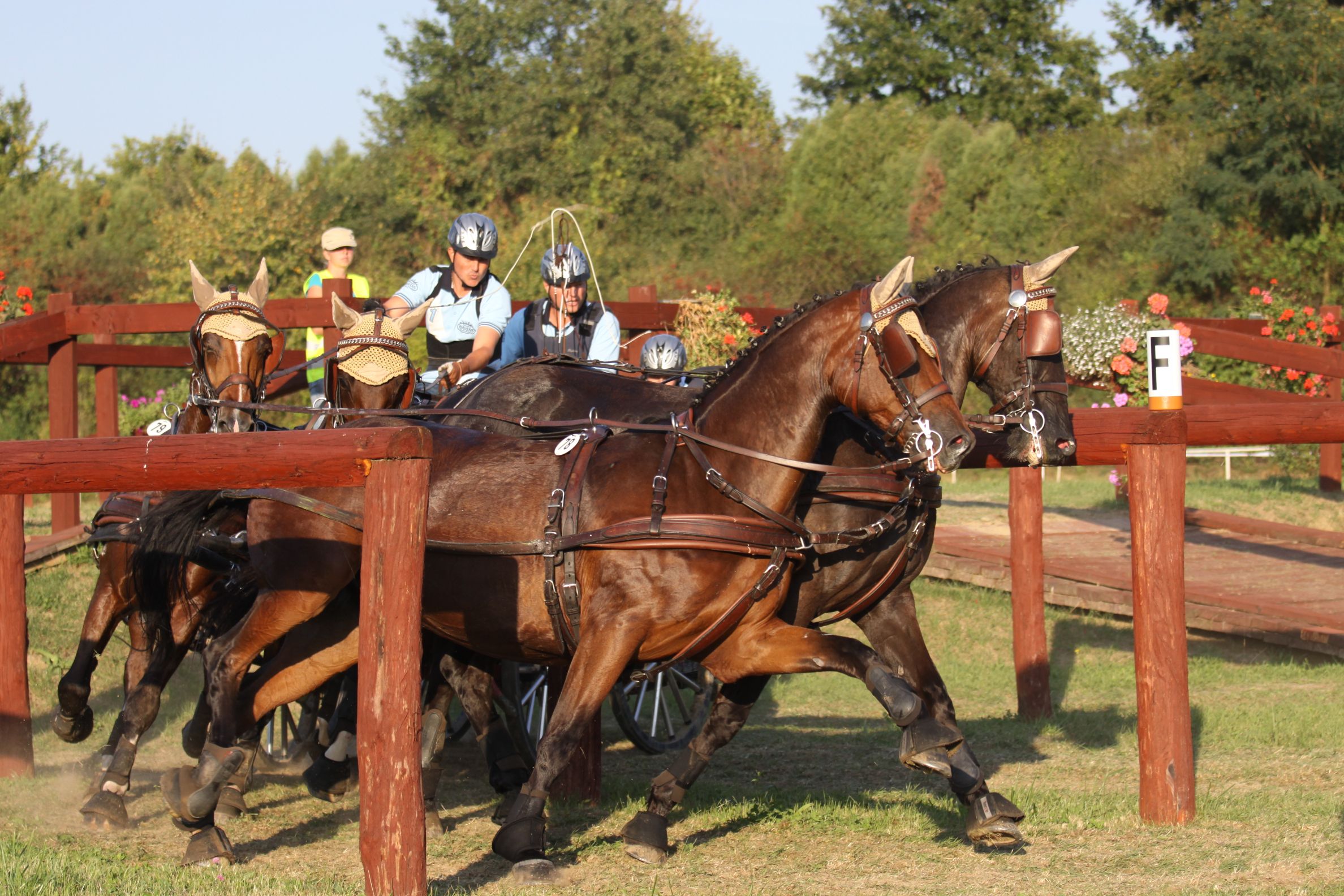 Móró Lajos - CAI-A Topolcianky (SVK) 2011